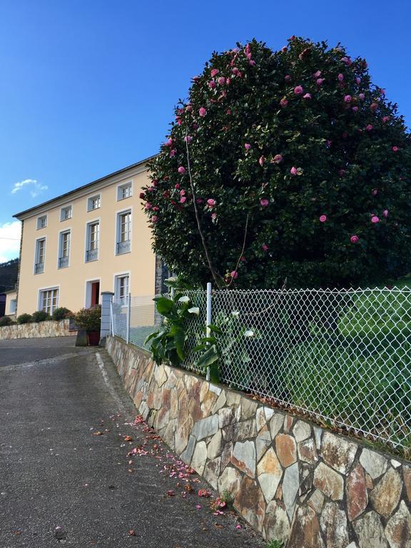 Apartamentos Rurales Casa Ron Coana 외부 사진